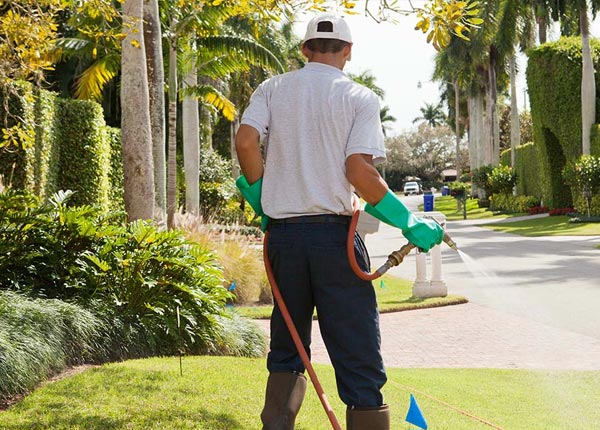 About Ratcliff TX Pest Control
